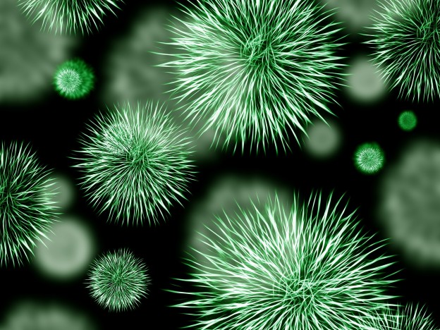 Cleaning Carpets Lessens Allergens